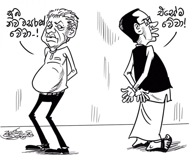 2019: වර්ධනයන් සහ අභියෝග  – සුනන්ද දේශප්‍රිය