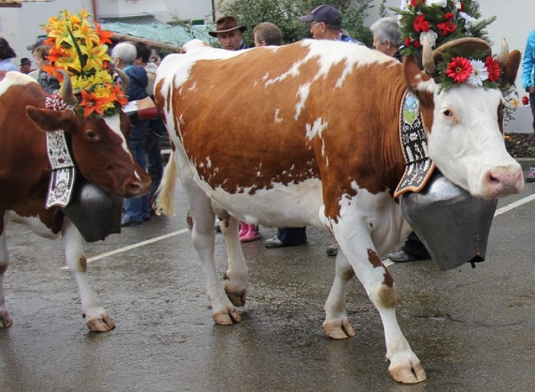 තහනමේ දේශපාලනය සහ හරක් මස් – සුනන්ද දේශප්‍රිය