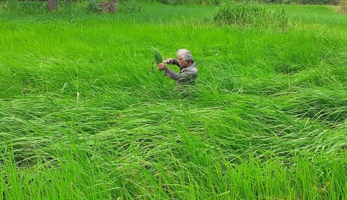 Farmer Ranjith 1