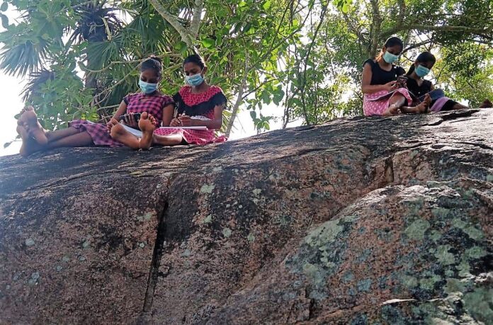 On line education 006 Hettiarachchigama Kurunagala