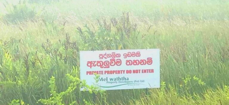 පර්චසය රුපියල් 500යි; මුතුරාජවෙළ පර්චස් 65102ක් ගජ මිතුරෙකුට