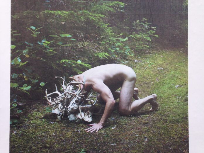 IMG_3966