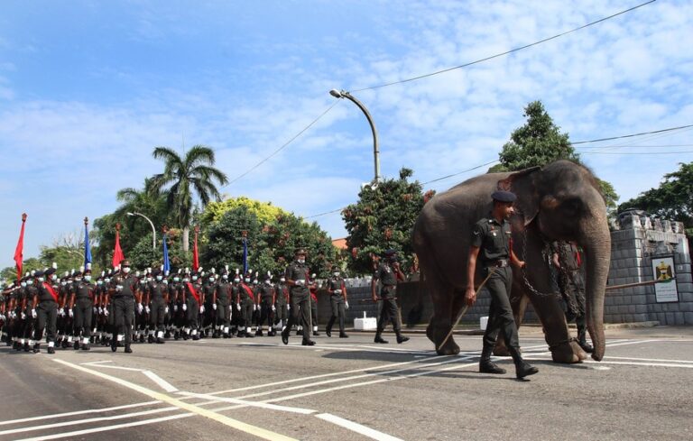 පෙබරවාරි 04 ‌නාස්තිකාර උත්සවය එපා! – පද්දති වෙනසක් සඳහා වෛද්‍ය වෘත්තිකයෝ