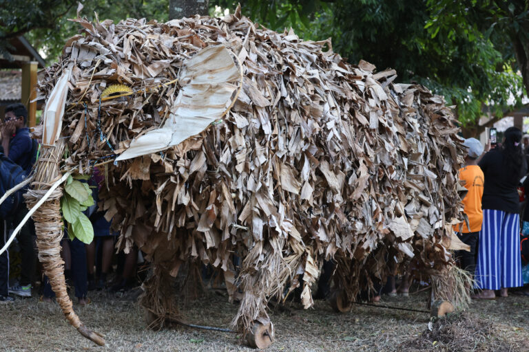 අලි නොවන අලි ප්‍රශ්ණය සහ අලි නැති අලි පා ගමන – සුනන්ද දේශප්‍රිය