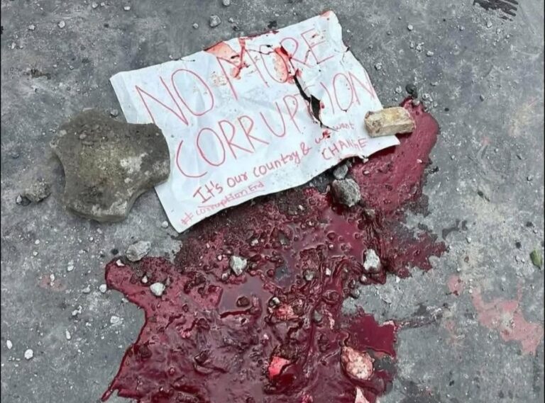 නෙපෝ බබාලා එපා! නේපාල Gen Z නැගිටීමේ ගුණ සුවඳ! – සුනන්ද දේශප්‍රිය