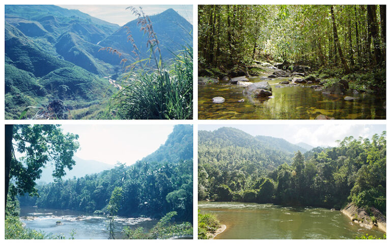 කැලණි ගඟ මංසන්ධියක: දිග හැරෙන අර්බුදයක අනතුරු ඇඟවීම