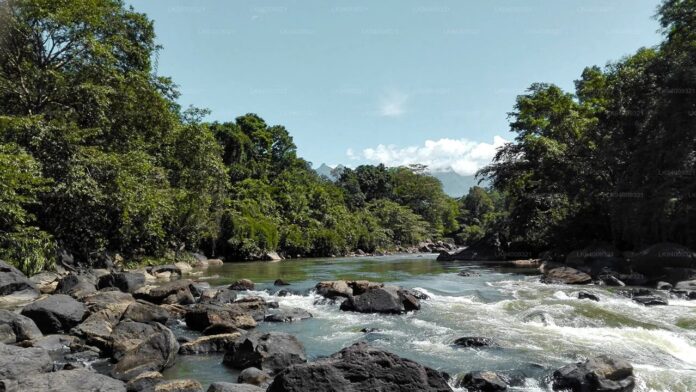 මහඔය