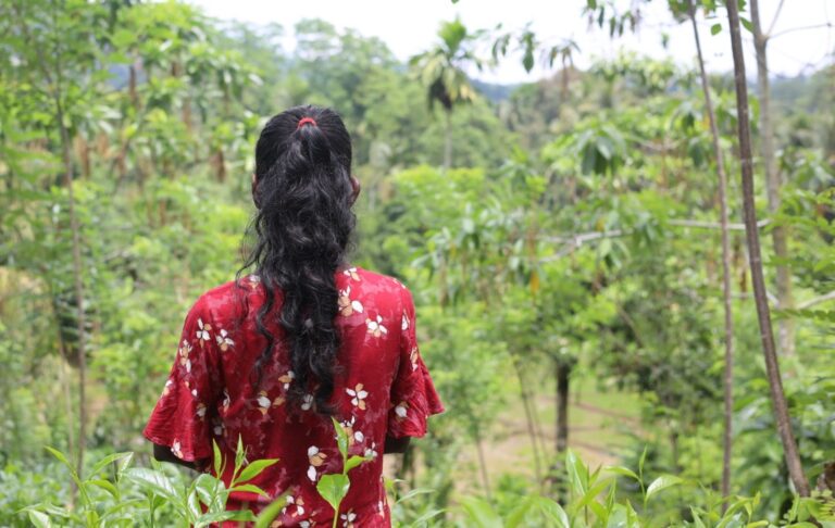 පෞද්ගලික තේ වතුවල සේවය කරන මලයියාහ දෙමළ කම්කරු ප්‍රජාව ලක්වන බරපතල ශ්‍රම අපයෝජනය ඇම්නෙස්ටි වාර්තාවක් දක්වයි